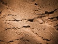 Dry cracked earth as background