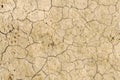 Dry cracked earth background, clay desert texture