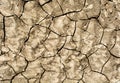 Dry cracked earth background, clay desert texture. Royalty Free Stock Photo