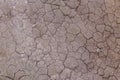 Dry cracked earth background, clay desert texture Royalty Free Stock Photo