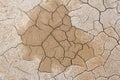 Dry cracked earth background. Cracked mud pattern. Soil In crack Royalty Free Stock Photo