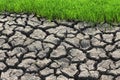 Dry cracked earth background with green rice field. Global warming concept Royalty Free Stock Photo