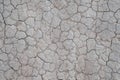 Dry cracked earth background Royalty Free Stock Photo