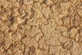 Dry cracked earth background. Cracked mud pattern. Soil In crack Royalty Free Stock Photo