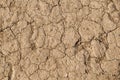 Dry cracked earth. Cracked sandy, clayey land dried out by drought Royalty Free Stock Photo
