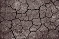 Dry cracked earth. Cracked soil texture. Land with dry and cracked ground. Background.