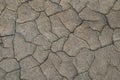 Dry cracked earth. Cracks in the ground closeup