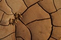 Dry cracked earth, desert Royalty Free Stock Photo