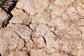 Dry cracked earth desert Royalty Free Stock Photo