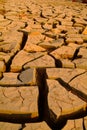 Dry cracked earth - Desert