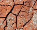 Dry cracked earth - Deserted - Global warming Royalty Free Stock Photo