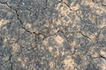 Dry-cracked earth in a field Royalty Free Stock Photo