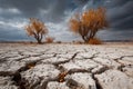 Dry, cracked earth fills a desolate landscape with trees and an overcast sky Royalty Free Stock Photo
