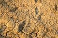 Dry and Cracked Earth Ground Land or Desert with Human Footprint