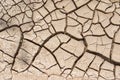 Dry cracked earth Royalty Free Stock Photo