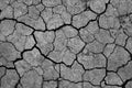 Dry cracked earth, parched land, Earth dirt texture background of brown mud, arid soil, Dry cracked earth texture. Royalty Free Stock Photo