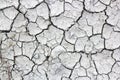 Dry, cracked earth. dry cracked soil texture and background on dry season grayscale Royalty Free Stock Photo