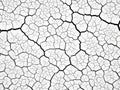 Dry cracked earth surface with black lines on white background texture pattern Royalty Free Stock Photo