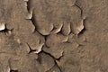 Dry cracked earth texture. Abstract background for design with copy space. Royalty Free Stock Photo