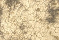 Dry cracked earth texture background. Clayey land dried out by drought. Cracked earth background. Global warming effect Royalty Free Stock Photo