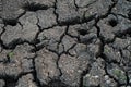 Dry cracked earth texture background. Cracked soil or mud pattern, Surface of drought land Royalty Free Stock Photo