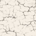 Dry Cracked Earth Texture Background for Environmental and Nature Themes. Royalty Free Stock Photo