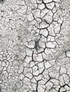 Dry cracked earth texture, cracked earth Royalty Free Stock Photo