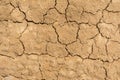 Dry cracked earth texture Royalty Free Stock Photo