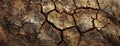 Dry cracked earth texture forming deep cracks Royalty Free Stock Photo