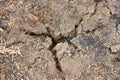 Dry cracked earth texture, global climate warming. Drought, the ground cracks, no hot water, lack of moisture. Royalty Free Stock Photo