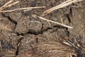 Dry cracked earth texture, global climate warming. Drought, the ground cracks, no hot water, lack of moisture. Royalty Free Stock Photo