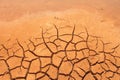 Dry cracked earth texture Royalty Free Stock Photo