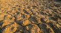 Dry Cracked Earth Texture Under Sunlight Royalty Free Stock Photo