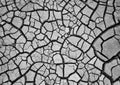 Dry cracked earth Royalty Free Stock Photo