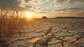 A dry, cracked field with a sun setting in the background Royalty Free Stock Photo