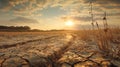 A dry, cracked field with a sun setting in the background Royalty Free Stock Photo