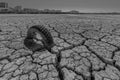 dry and cracked floor of the dry river of the big boiler in the city of Barreiro with buried old car tire