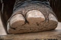 Close up of the foot of an Indian Elephant at a rehabilition camp for retired animals - Kalaw, Myanmar Royalty Free Stock Photo