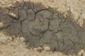 Dry cracked grey earth background