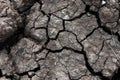 Dry cracked ground for background and design Royalty Free Stock Photo