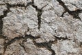 Dry and cracked ground, dry for lack of rain. Effects of climate change such as desertification and droughts