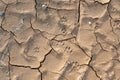 Dry cracked ground background texture Royalty Free Stock Photo