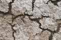 Dry and cracked ground, dry for lack of rain. Effects of climate change such as desertification and droughts