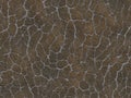 Dry cracked ground texture. abstract relief pattern Royalty Free Stock Photo