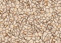 Dry cracked ground texture Royalty Free Stock Photo