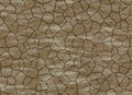 Dry cracked ground texture. abstract relief pattern Royalty Free Stock Photo