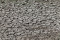 Dry cracked ground texture, drought, global warming concept Royalty Free Stock Photo