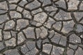 Dry cracked ground texture. Royalty Free Stock Photo