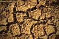 Dry cracked ground texture Royalty Free Stock Photo