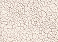 Dry cracked ground textures. abstract relief pattern Royalty Free Stock Photo